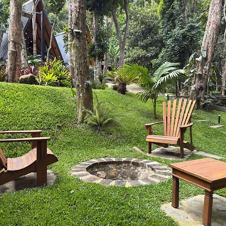 Chales Das Palmeiras Petropolis  Bagian luar foto